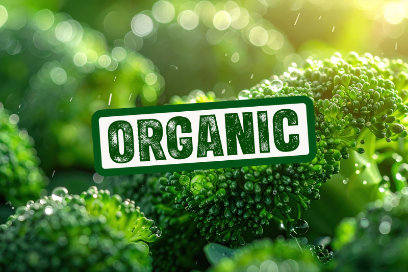 BioVivo Science secures organic certification for US facility and broccoli seed ingredient