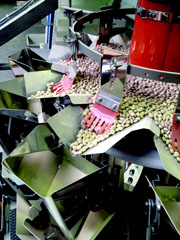 Blankedale counts on Ishida to improve speed and accuracy