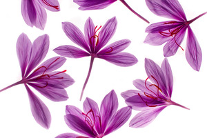 Blue Monday: Safr’Inside, Activ’Inside's saffron extract for seeing life through rose-colored glasses