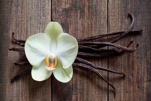 Blue Pacific Flavors launches sustainable vanilla extract