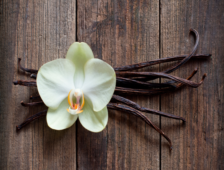 Blue Pacific Flavors launches sustainable vanilla extract