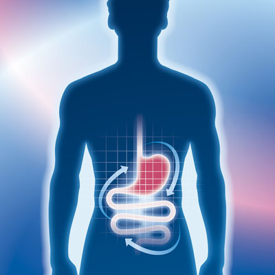 Body of science on Sabinsa’s LactoWise and LactoCran digestive health ingredients grows with publication of two new studies