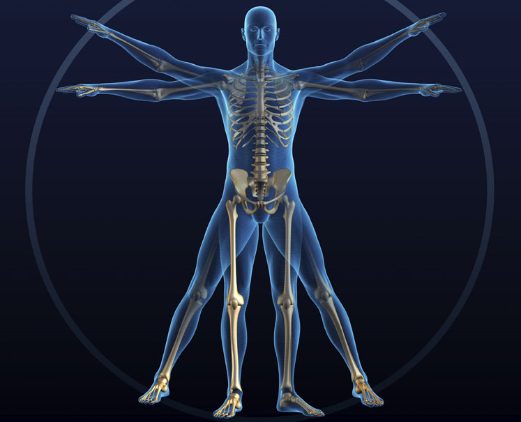 Bone and joint health in a new normal world 