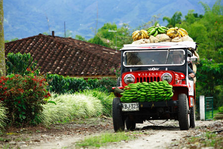 Boomtown Bogota