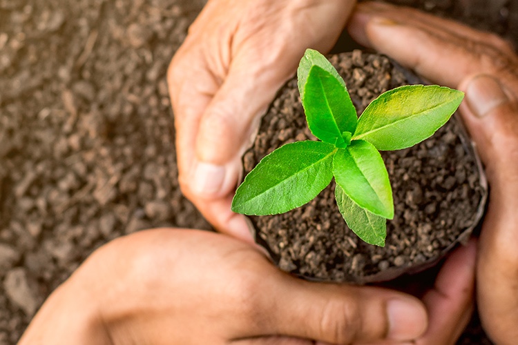 Boot camp refines DuPont’s UN sustainability goals alignment 