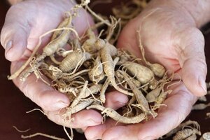 Botalys becomes preferred supplier to Nutrisan and Terry Naturally