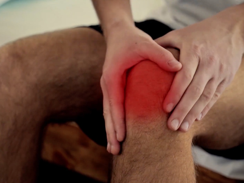 Botanical extract reduces knee pain