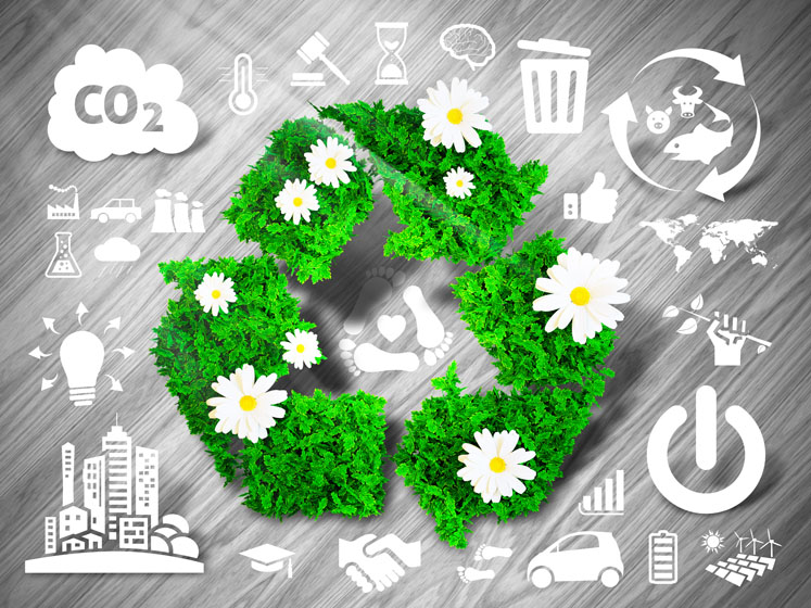 Botanical products as a sustainability asset: Mirtoselect and Enovita represent Indena’s vision of a circular economy
