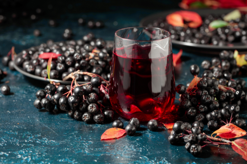 Brainberry clinical study links aronia extract to improved spatial working memory