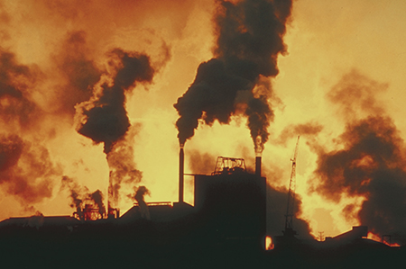 Breathing Easy: Nutrient Solutions for Air Pollution
