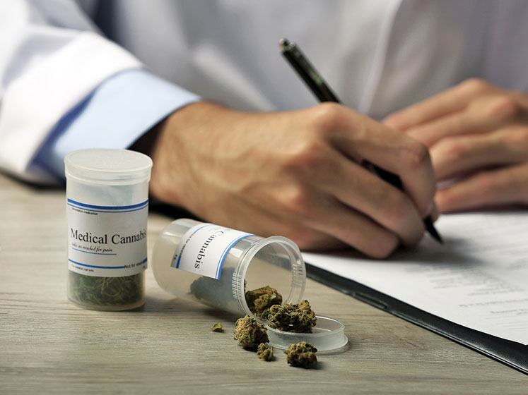 Bruker and Purity-IQ sign agreement to transform the cannabis regulatory landscape
