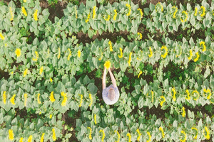 Bunge Loders Croklaan expands organic oils and fats range