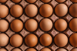 Bunge to invest $550m in soy protein concentrate