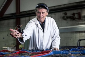 Bühler’s SORTEX PolarVision assures Blåtand berry quality 