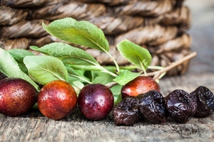 California Prune Board and ROS renew partnership