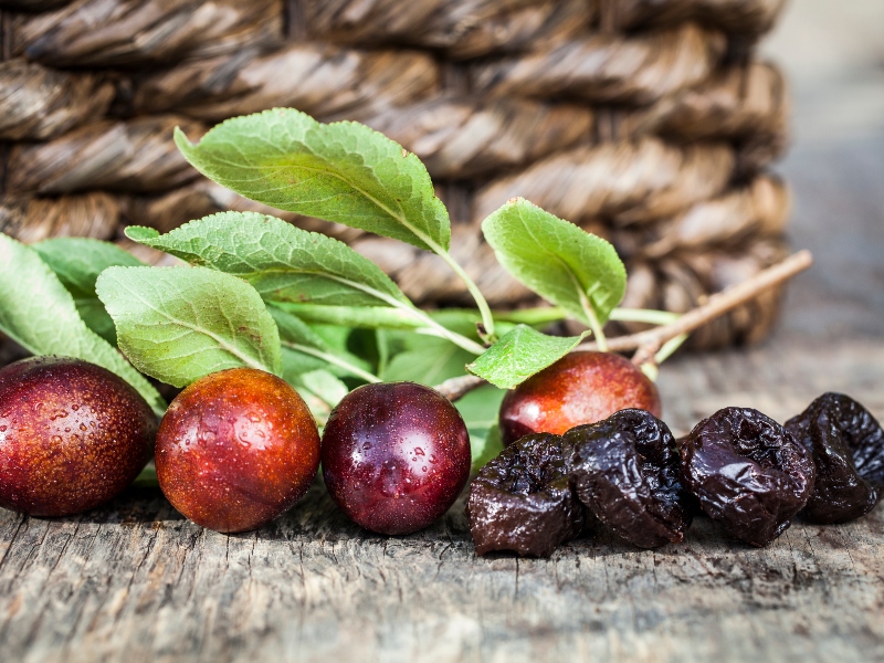 California Prune Board and ROS renew partnership