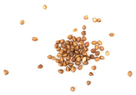 Cambridge Commodities launches vegan protein range