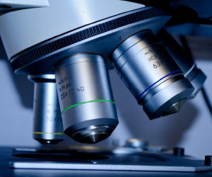 Can a vitamin be more than 100% pure? What analytical testing really tells us