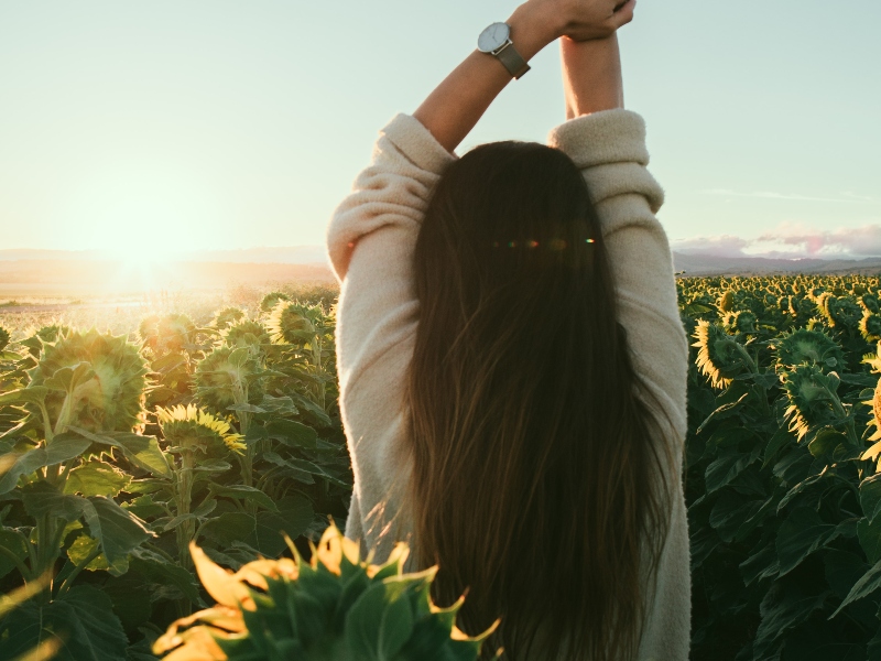 Can probiotics slow osteoporosis in early menopause?