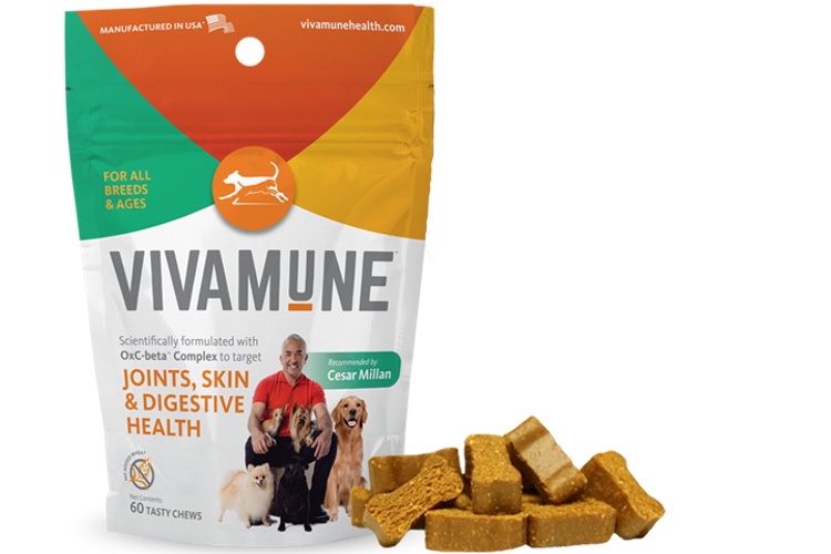 Canadian joint venture focuses on online sales of pet supplements