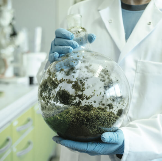Cannabinoid research promoted through Linnea SA and Unicamp partnership