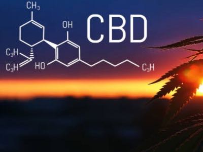 Cannabinoids now classed as novel food in Europe