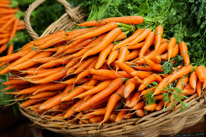 Carrot-based prebiotic encourages the production of gut bacteria metabolite IPA, study reveals