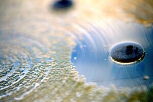 CBD beats resistant strains of gram-positive bacteria