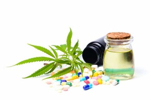 CBD maker Elixinol launches joint venture with RFI Ingredients