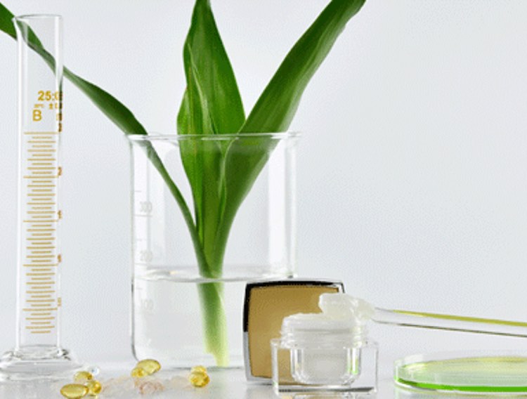 Checklist for choosing a plant extract