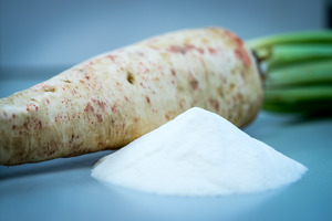 Chicory root-derived prebiotic fibre noted for its weight management potential in systematic literature review