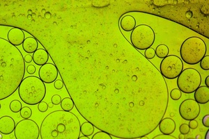 CHITOSE makes $7m partnership with Shiseido to work on circular manufacturing of microalgae