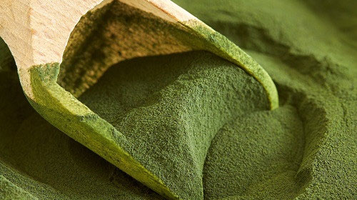 Chlorella and immunity in athletes