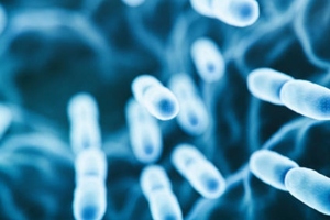 Clasado and Probi pool health wisdom