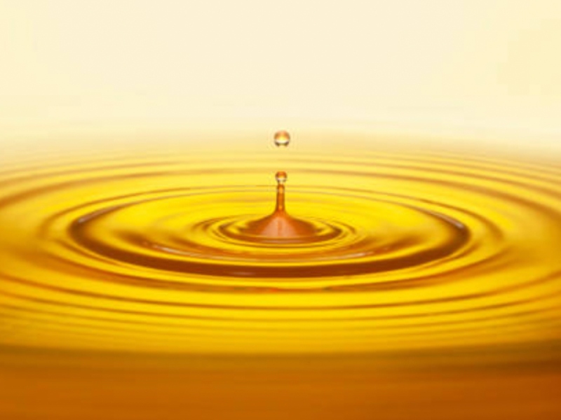 Clean Food announces $2.9m to accelerate sustainable oils and fats