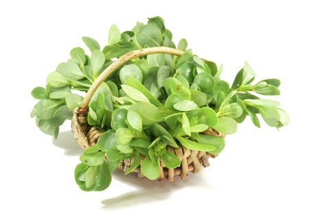 Clinical study confirms Portusana supports blood sugar control