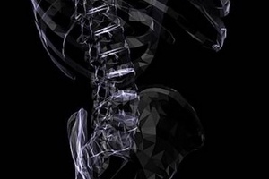 Clinical study identifies bone health benefits of DeltaGold tocotrienols
