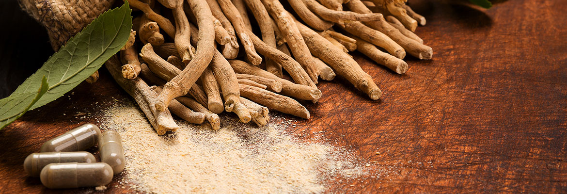 Clinical study published on Sabinsa’s Shagandha Ashwagandha shows benefits for stress management in healthy adults