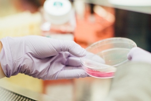 Clinical trial affirms ketogenic ingredient induces and sustains ketosis