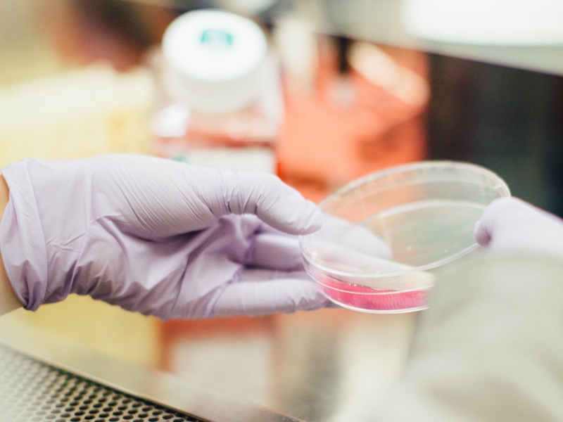 Clinical trial affirms ketogenic ingredient induces and sustains ketosis