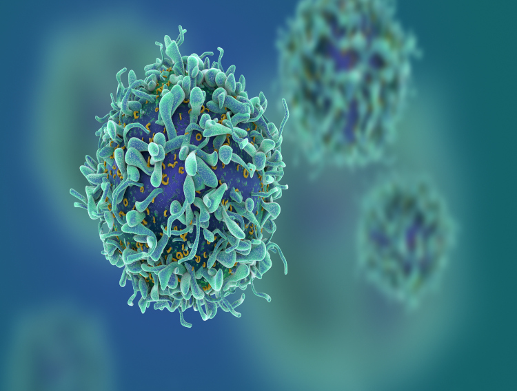 Clinical trial to explore fucoidan's immunity benefits