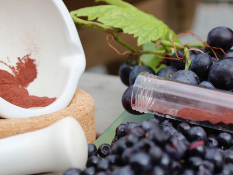 Cognitive performance claim of Memophenol gets regulatory nod