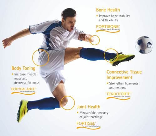 Collagen protein solutions for sports nutrition  