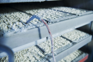 Companies turn to freeze drying for stable nutraceuticals
