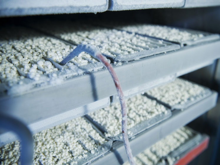 Companies turn to freeze drying for stable nutraceuticals
