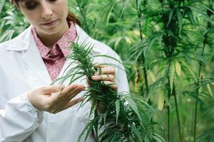 Complete cannabis testing solutions for the Canadian market from a single source