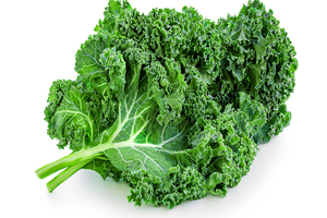 Conagen develops flavonoid by precision fermentation