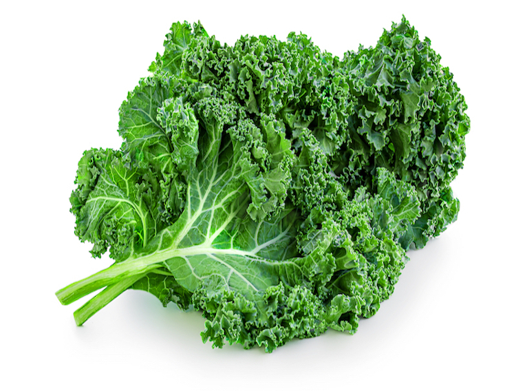 Conagen develops flavonoid by precision fermentation