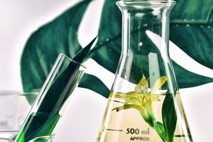Conagen unveils commercial production of high-purity non-GMO salidroside