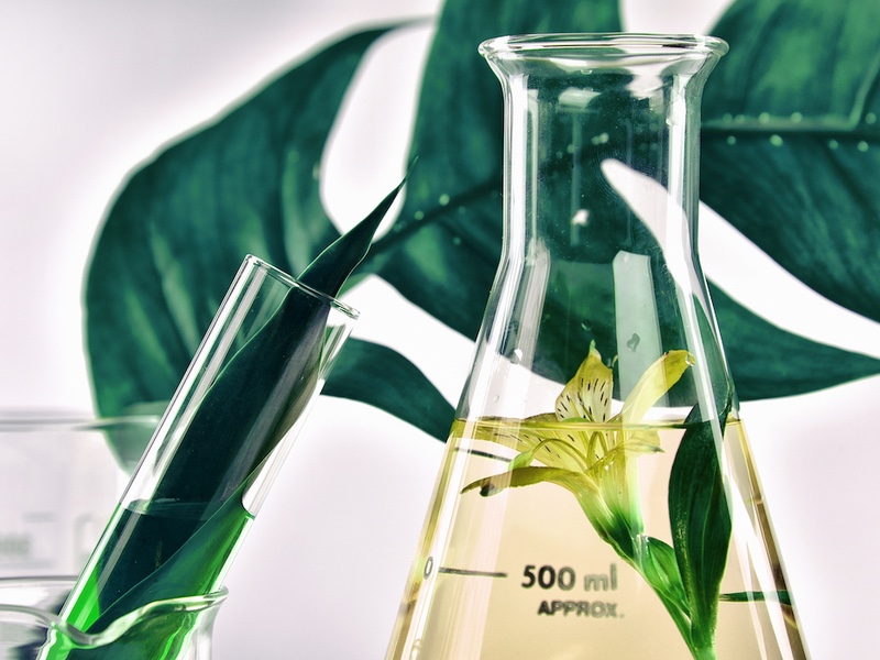 Conagen unveils commercial production of high-purity non-GMO salidroside